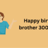 Happy birthday brother 300 quotes